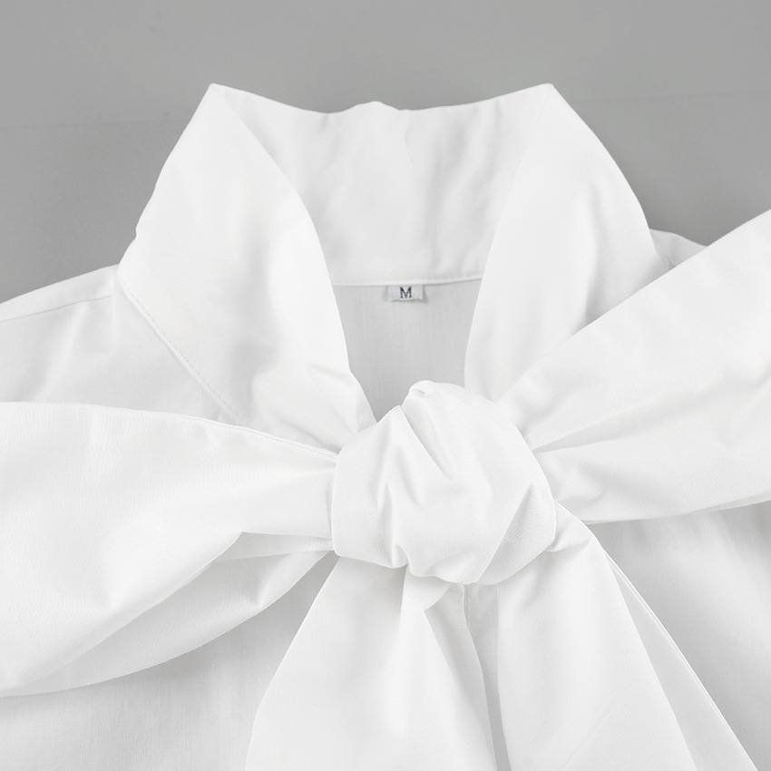 Witte Cropped Blouse Dames met Strikdetail | Lange Mouw en Hoge Kraag