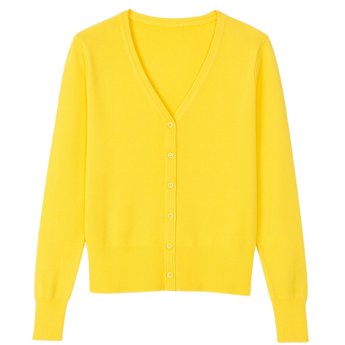 Klassiek Dames Vestje met V-hals | Dunne Cardigan Lange Mouw