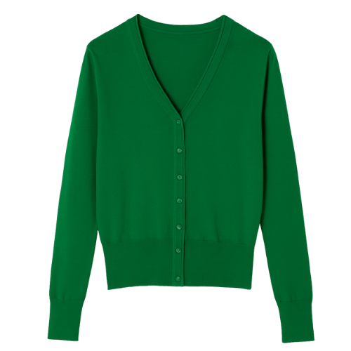 Klassiek Dames Vestje met V-hals | Dunne Cardigan Lange Mouw