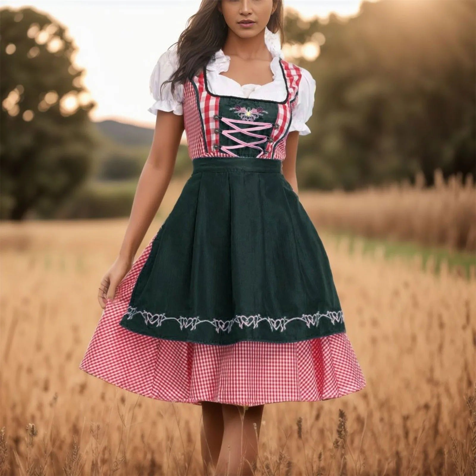Dames traditionele dirndl met geruit patroon
